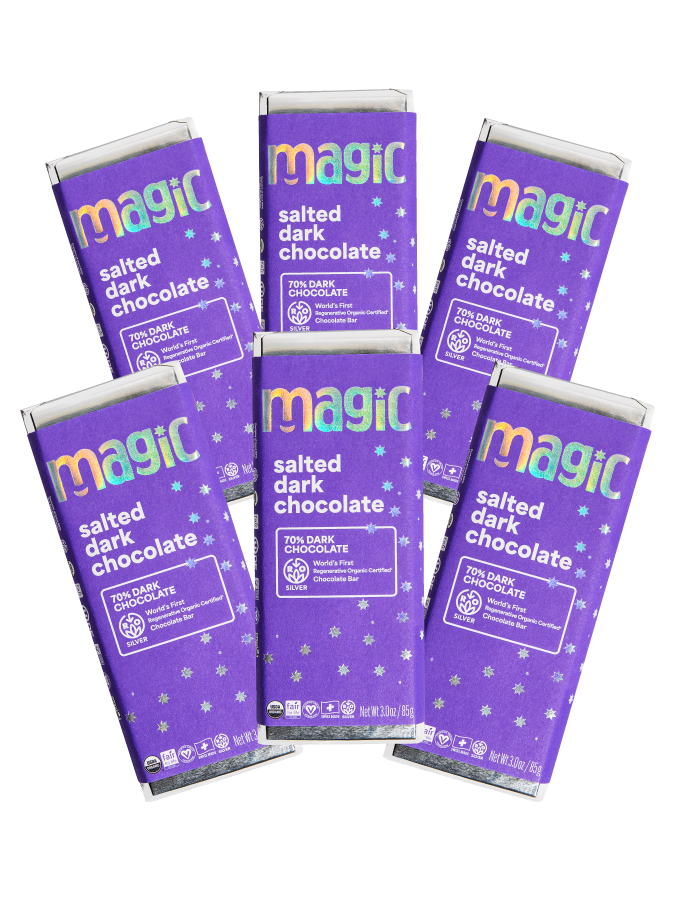Salted Dark Chocolate Bar - 12-pack