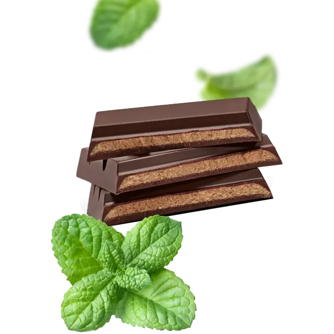 Cool Peppermint Creme 70% Dark Chocolate Bar - 12-pack