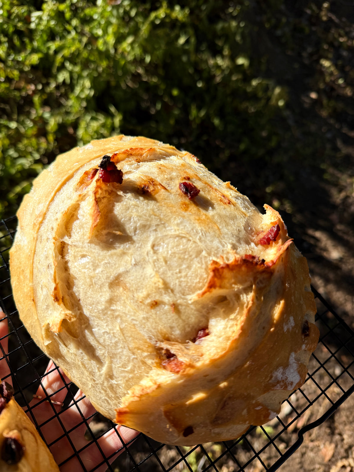 Original Sourdough