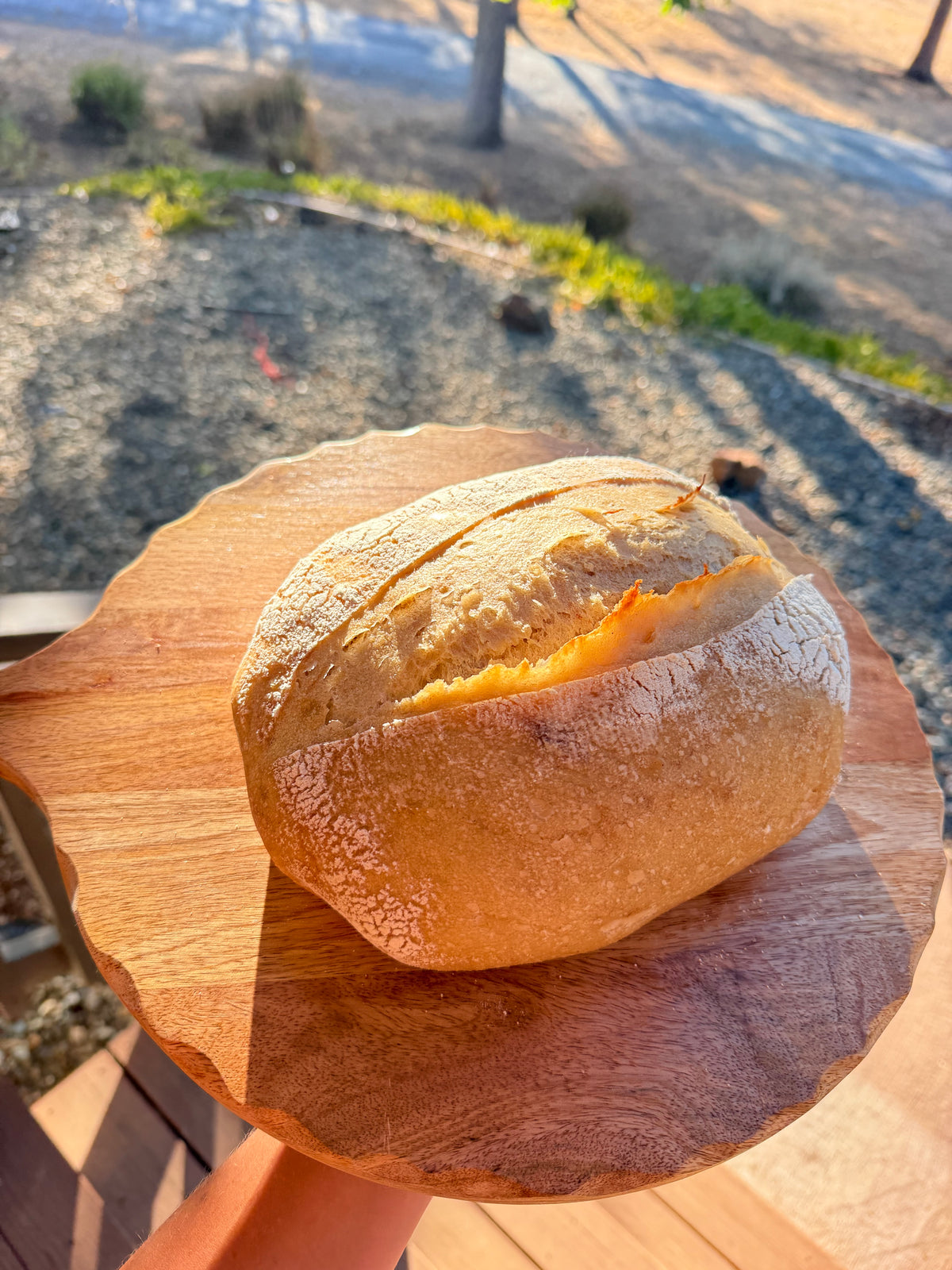 Sourdough Loaf – Plain